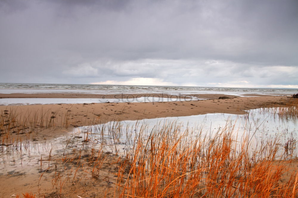 Similar – Heiligendamm Nature