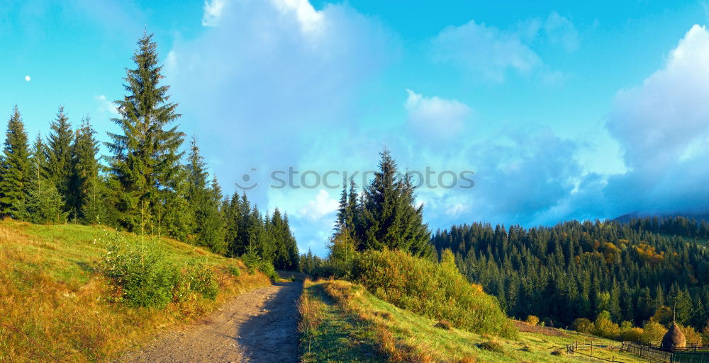 Similar – a room with a view Nature