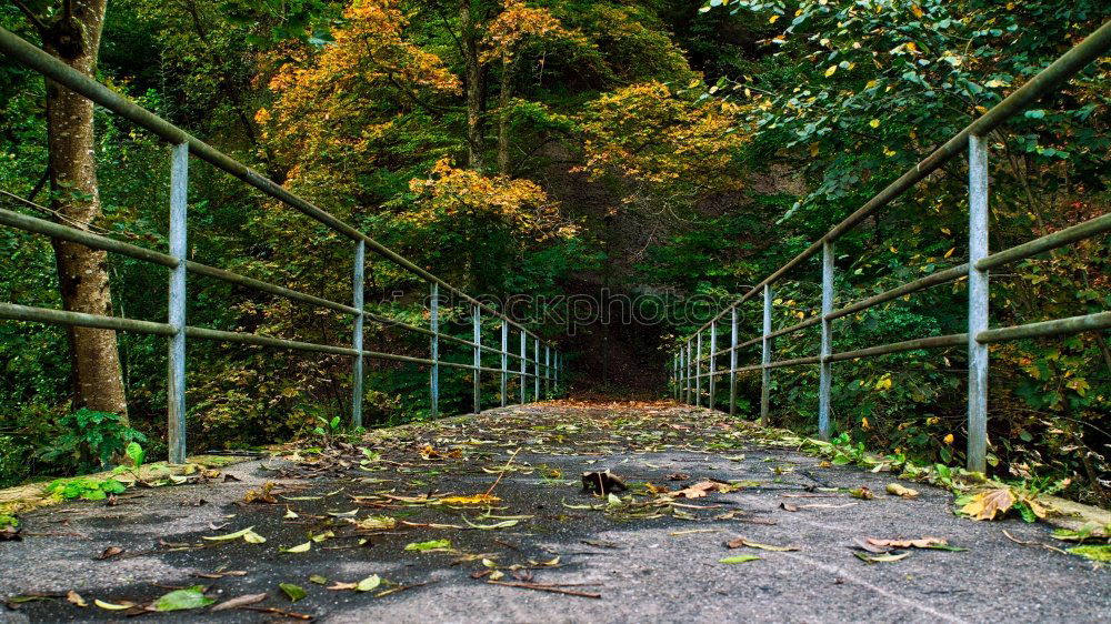Similar – Foto Bild Out of nowhere Natur