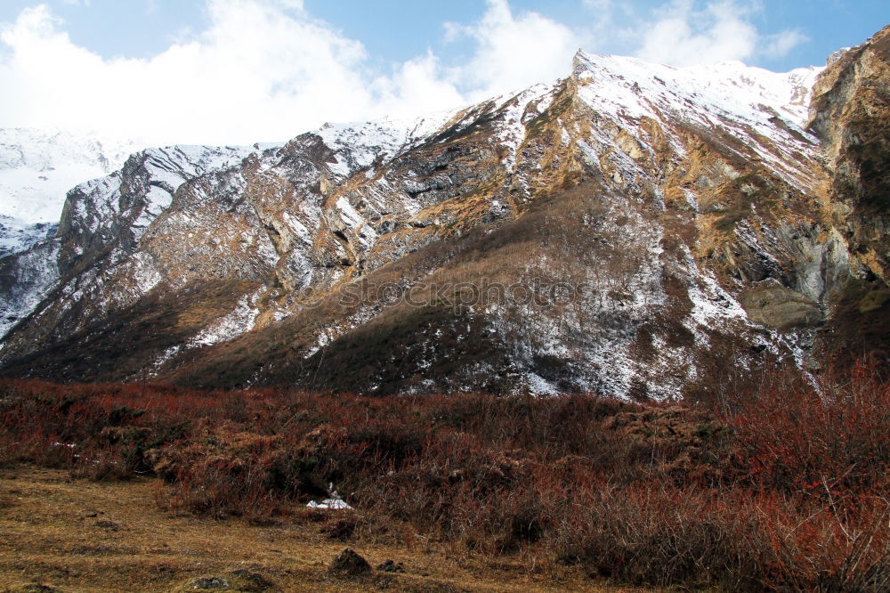 Similar – Der Berg ruft Natur blau