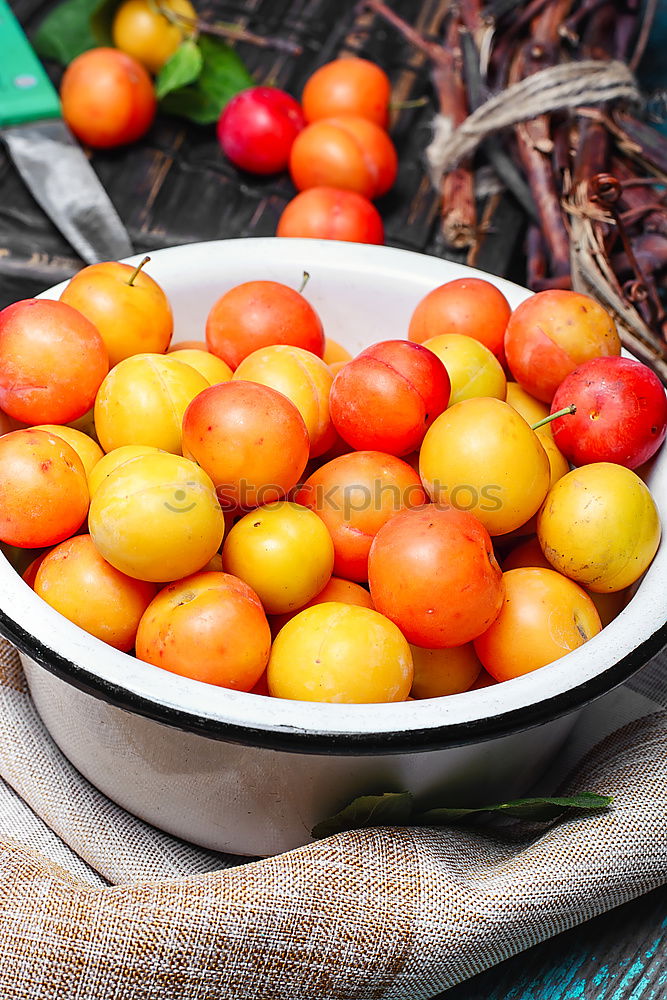 Similar – Image, Stock Photo #AS# Snack plate Bowl