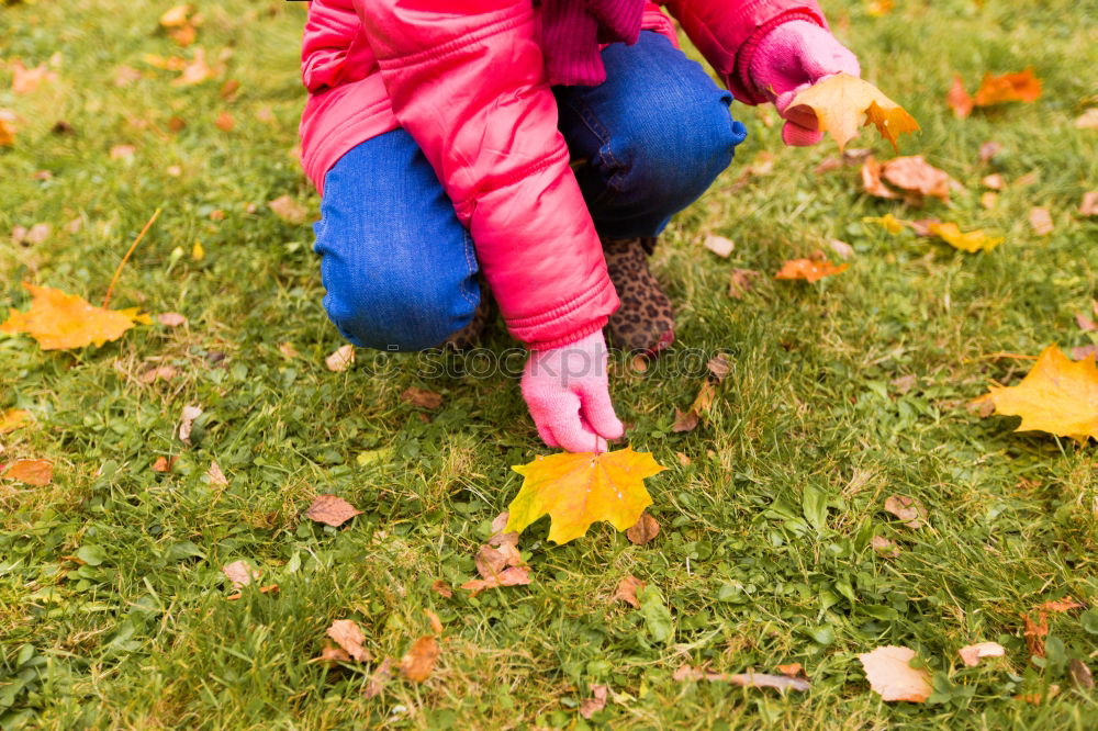 Similar – Image, Stock Photo water flowers Easter Child