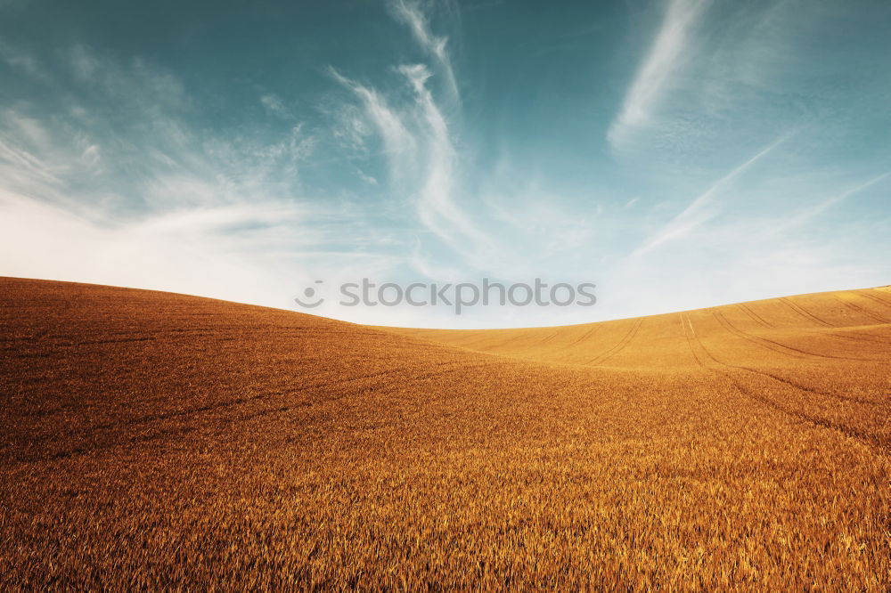 Similar – Image, Stock Photo furkablick Harmonious