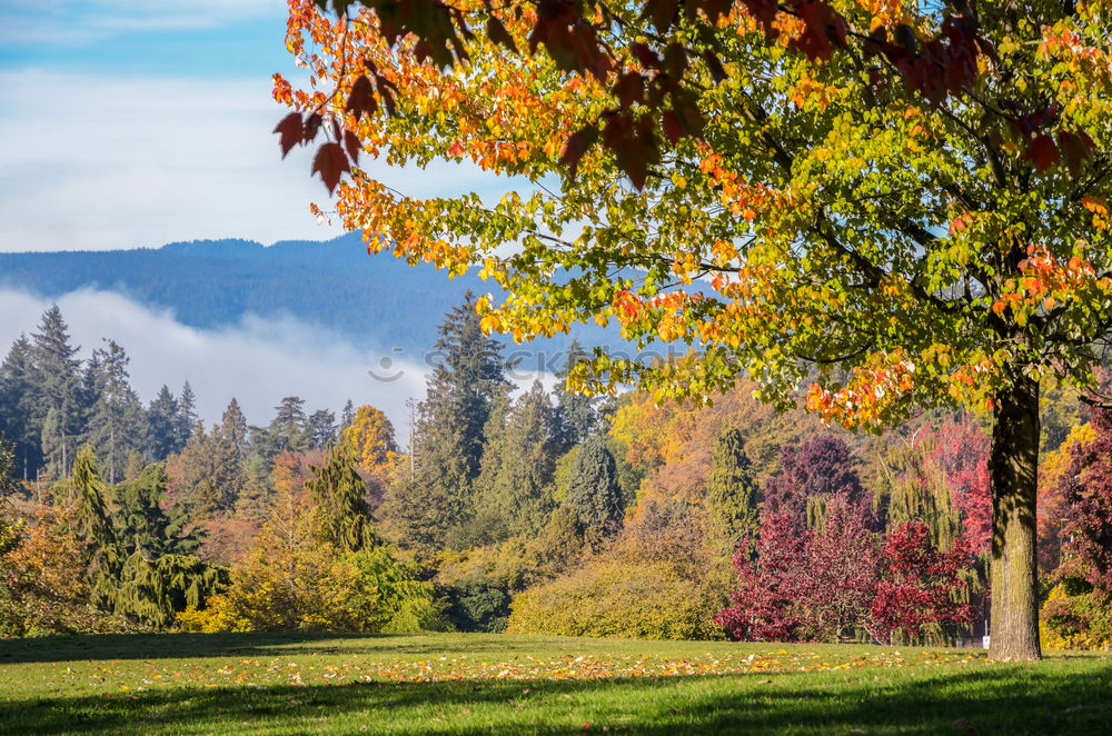 Similar – Image, Stock Photo Winterthur Environment