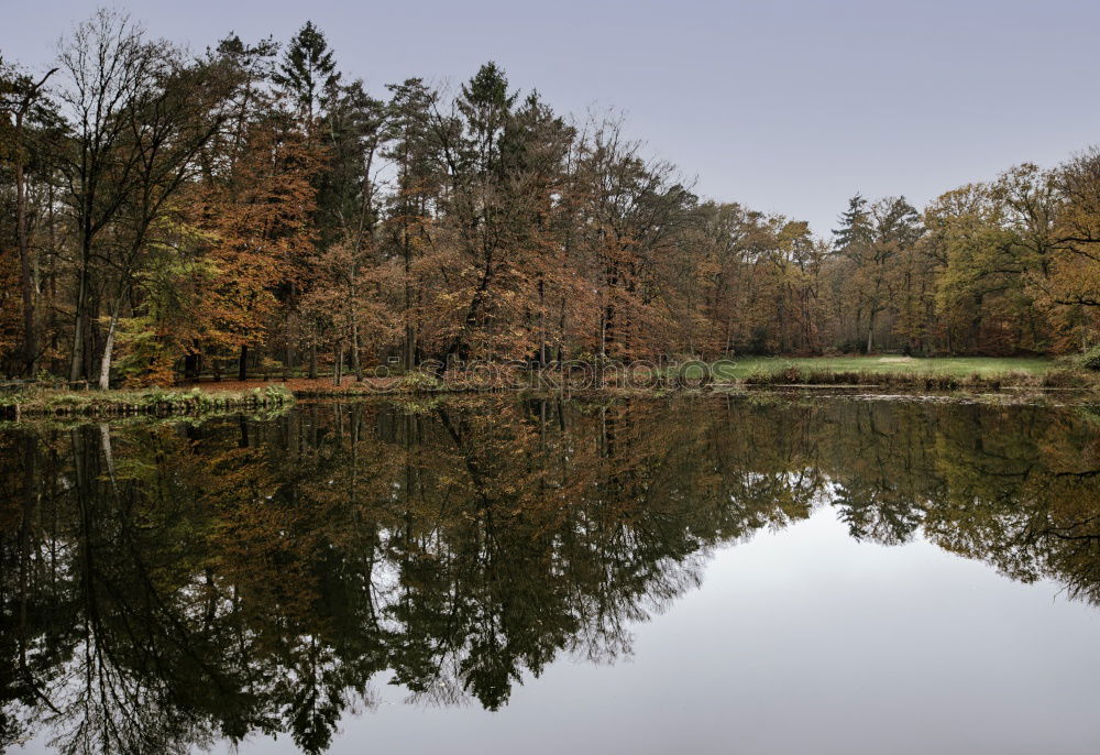 Similar – Image, Stock Photo A row of trees on the shore