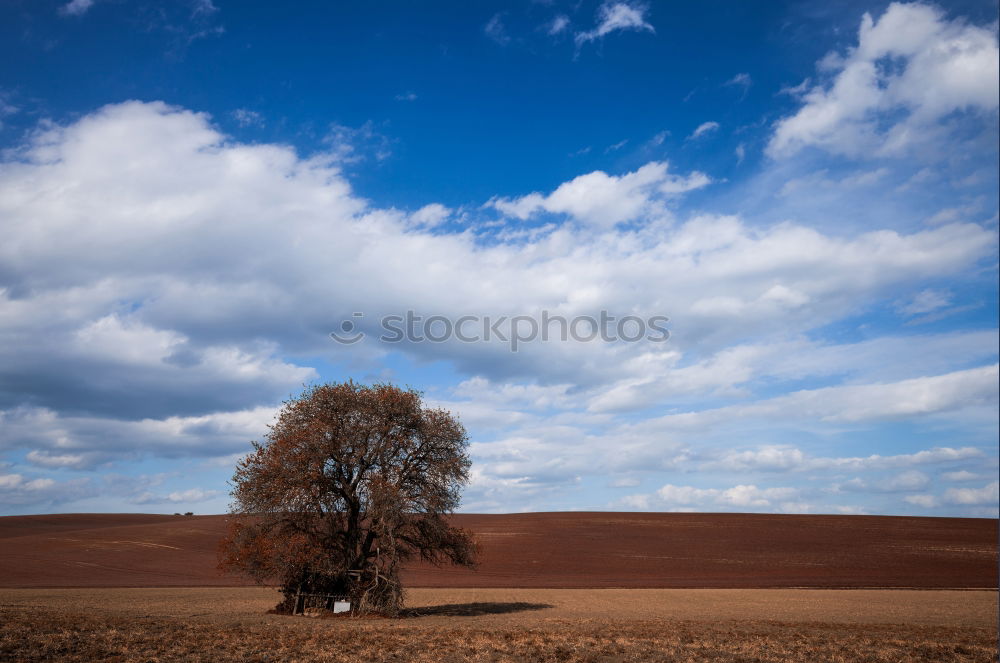 Similar – Tuscan idyll