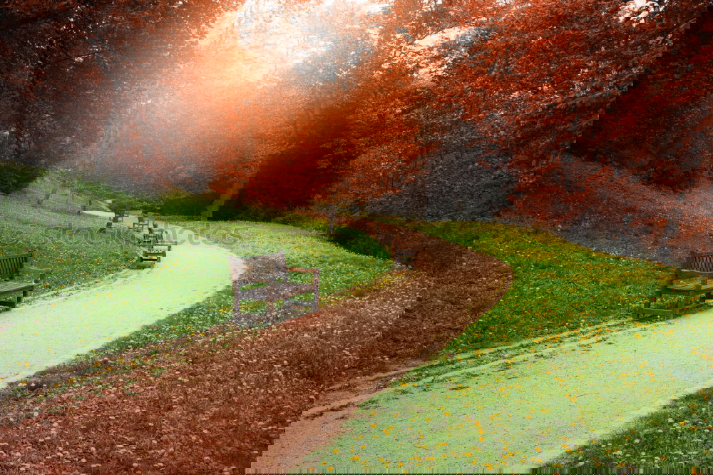 Image, Stock Photo Berlin Tiergarten