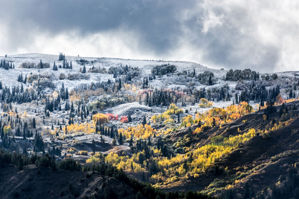 Similar – Image, Stock Photo Autumn forest and snowy mountains