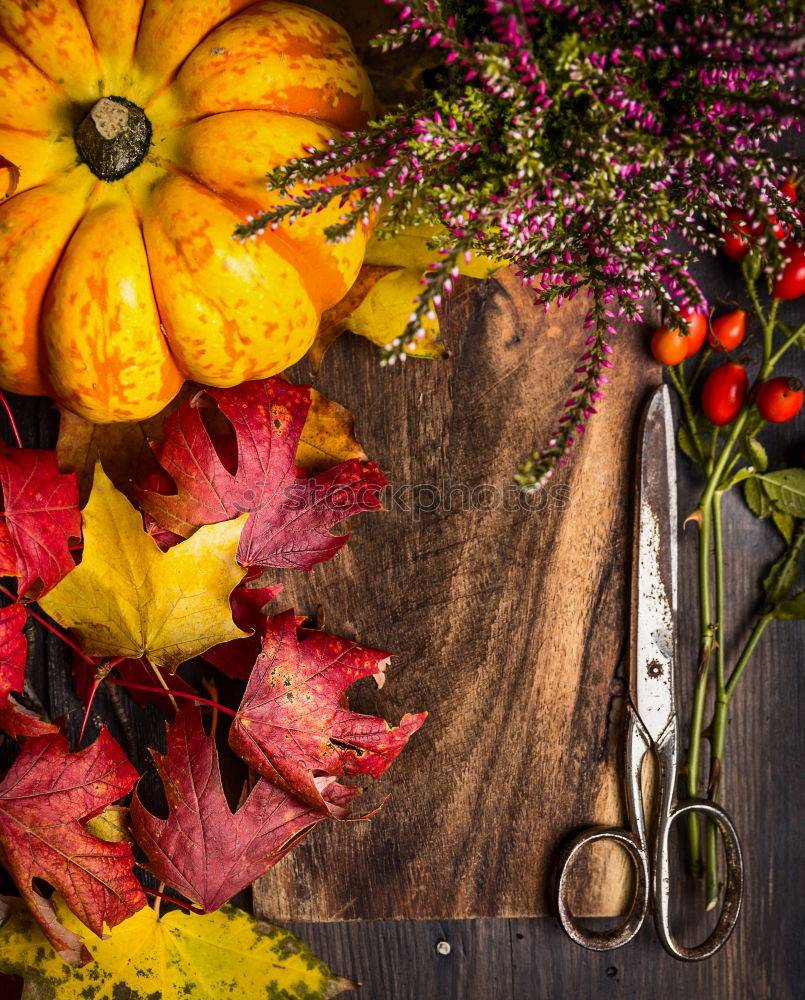 Autumn decoration with pumpkin and make leaves