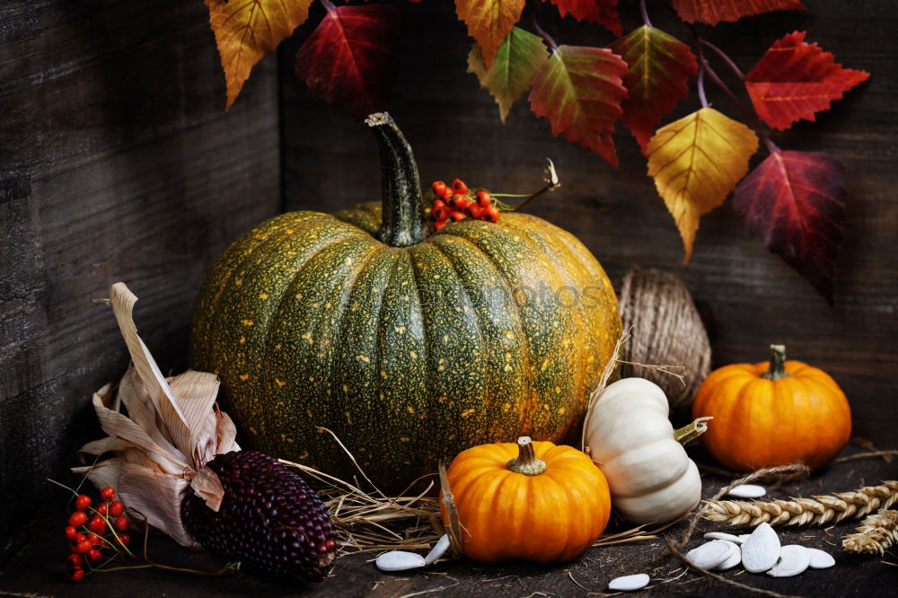 Similar – top view of cozy autumn breakfast on table