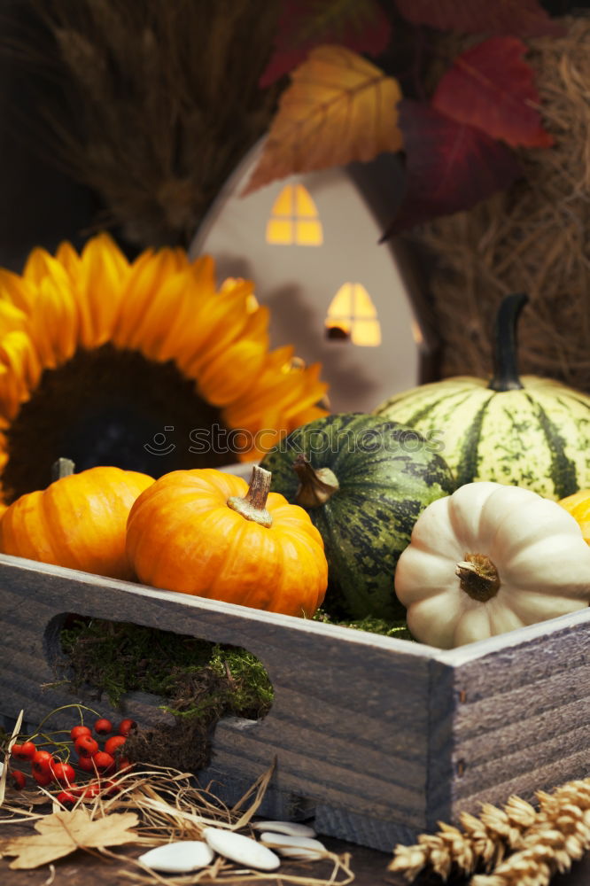 Similar – Image, Stock Photo fall at country house. Seasonal rustic decorations