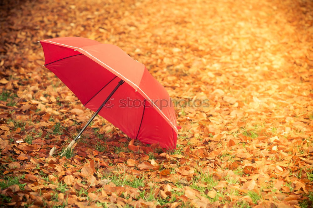 Similar – Image, Stock Photo rain or sun Lifestyle