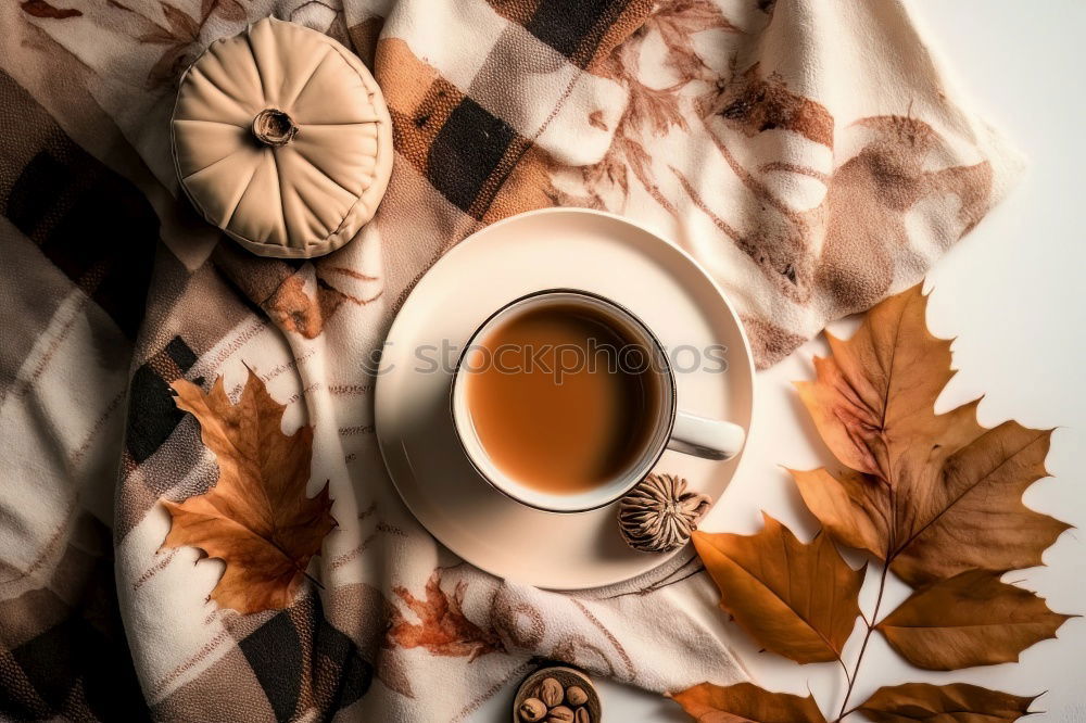 Similar – autumn To have a coffee