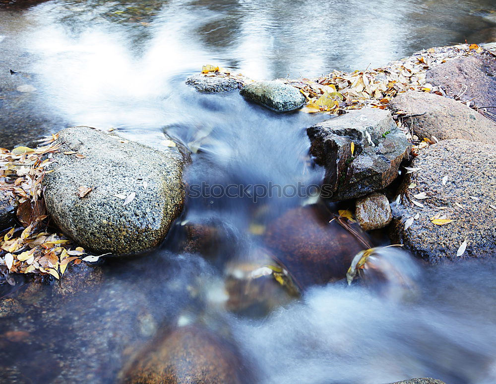 Similar – Image, Stock Photo spiderfalls Leaf Autumn