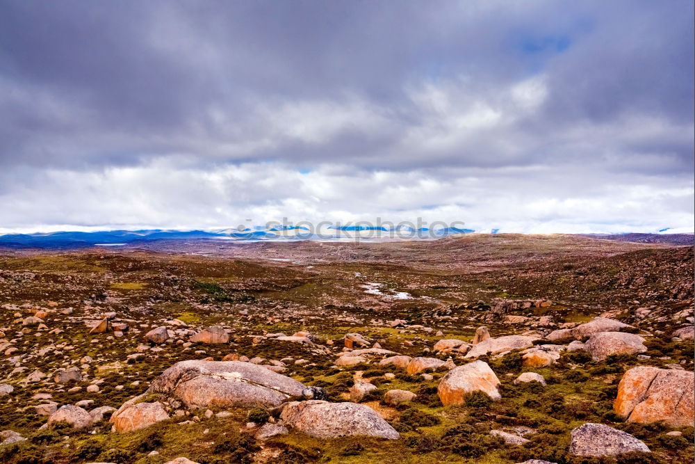 Similar – After the rain, moorland