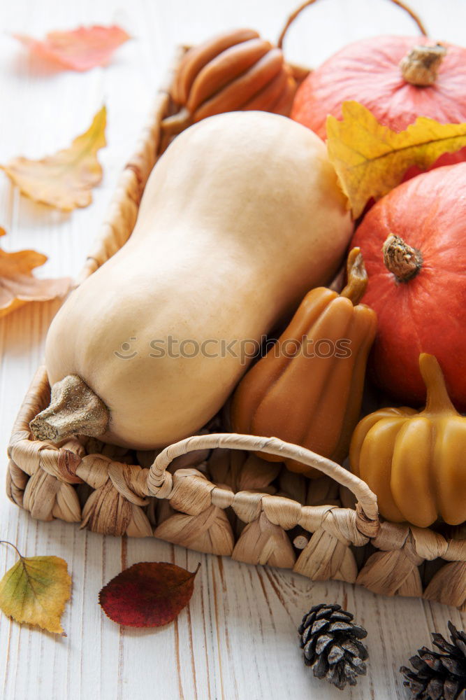 Similar – Autumnal symbolic cookies