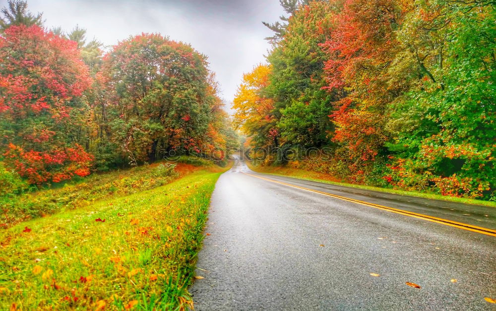 Similar – Image, Stock Photo autumn street Environment