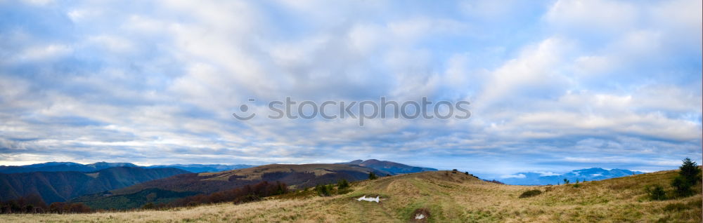 Lonley Mountain