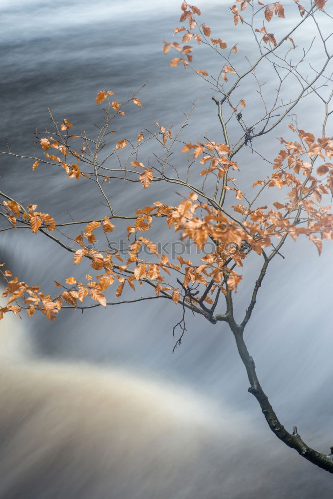 Similar – Image, Stock Photo The light at the end of the tribe