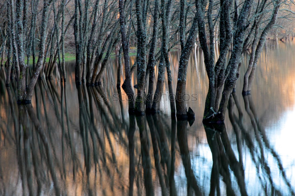 Similar – Image, Stock Photo Let’s go across the lake.