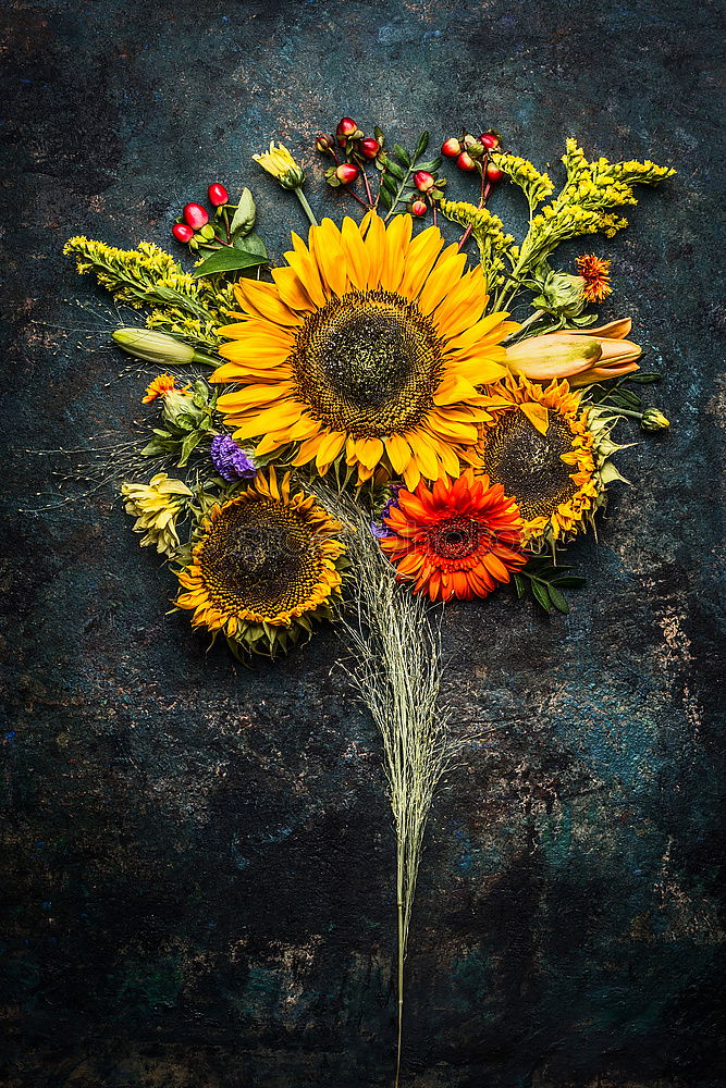 Similar – Autumn flower composing on dark background