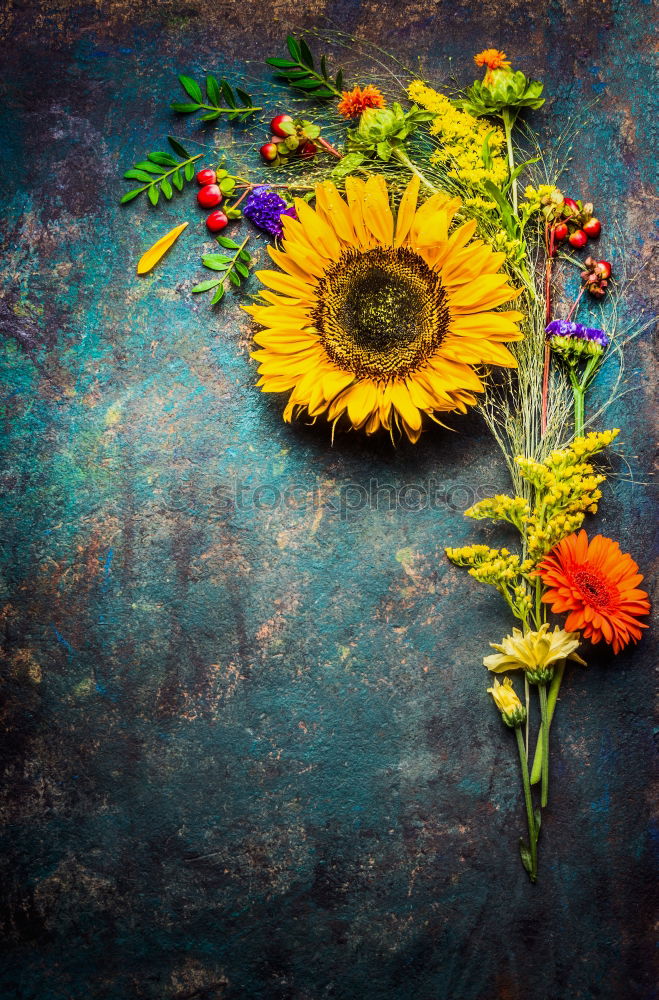 Similar – Foto Bild Garden Blumen mit Blättern auf Schiefer