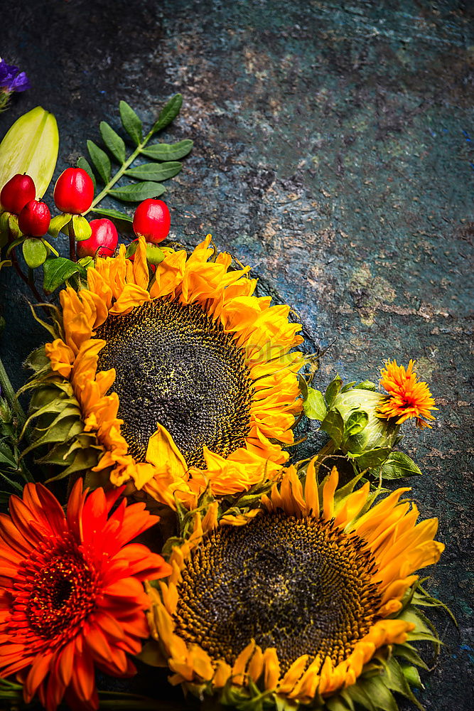 Image, Stock Photo Autumn bouquet of flowers with sunflowers