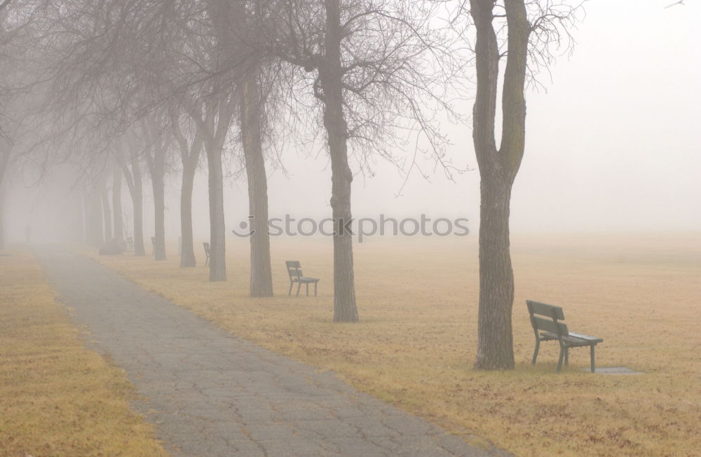 Similar – Zuversicht Erfolg Frühling