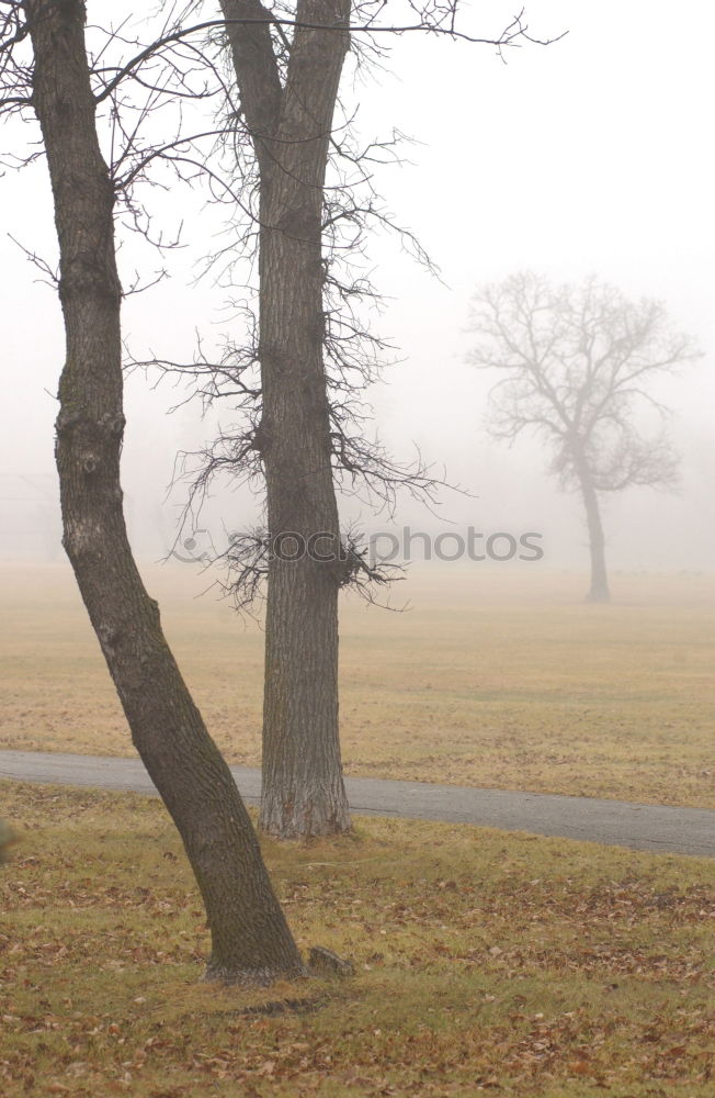 Similar – Hinter dem Zaun Erde Sand