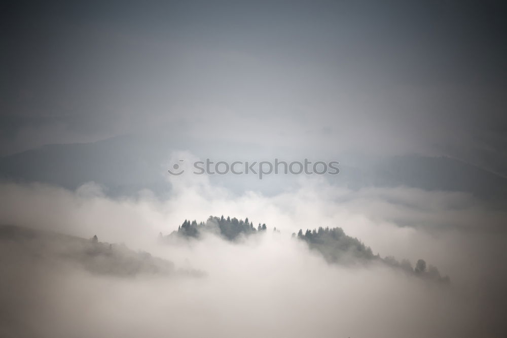 Similar – curls Nature Landscape