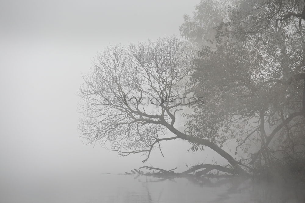 Similar – Steg ohne Zugang Natur