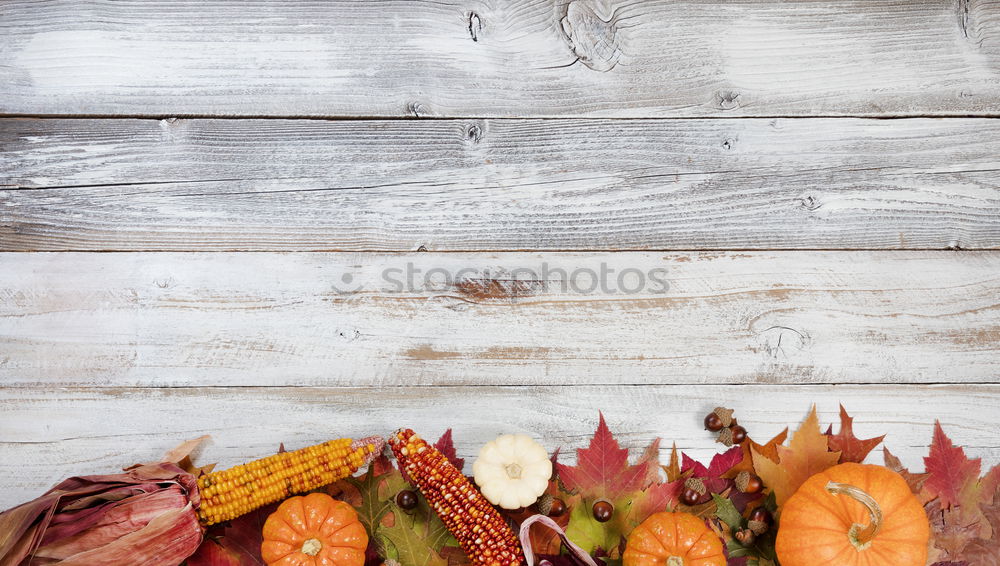 Similar – Image, Stock Photo Pumpkins in wooden box at the pumpkin harvest