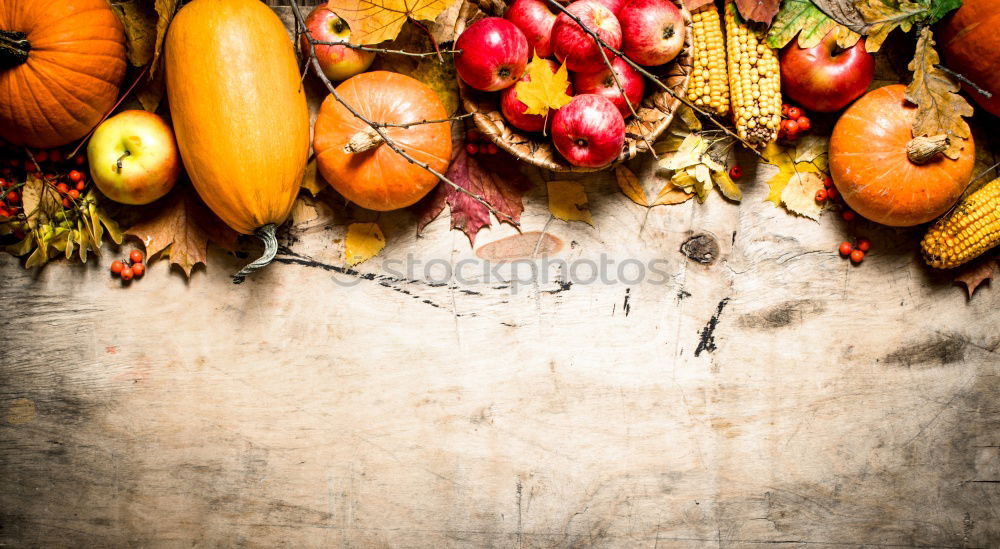 Similar – Image, Stock Photo Apple Bird Nest Food Fruit