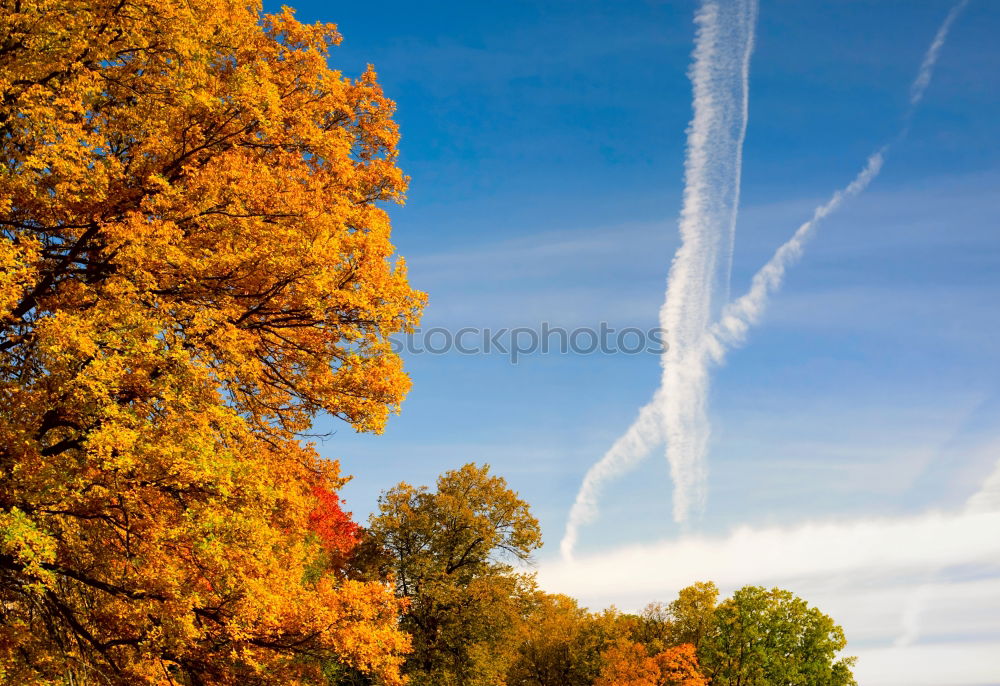 Similar – Image, Stock Photo voixfest Fairs & Carnivals