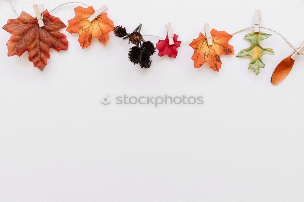 Similar – Image, Stock Photo AK# Autumn and its leaves IV