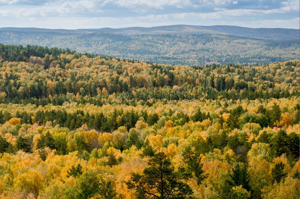 Similar – Autumn in Grunewald