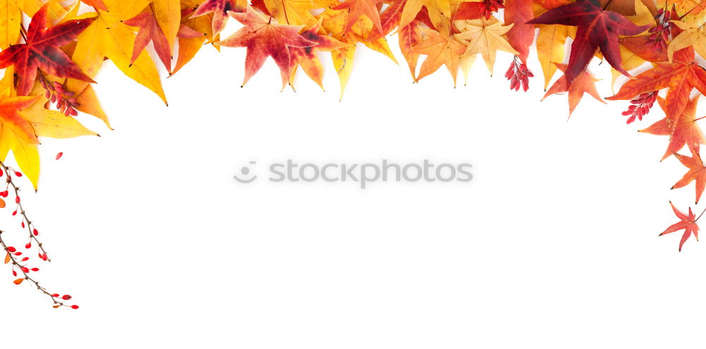 Image, Stock Photo variegated Environment