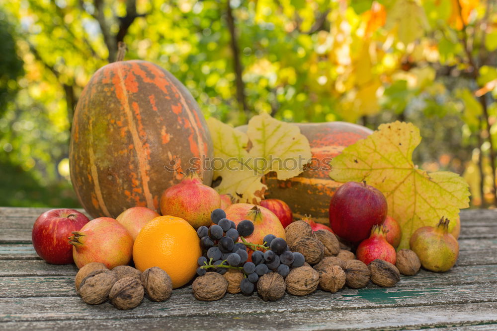 Similar – Image, Stock Photo Quince Physalis Chestnut Rose Hip