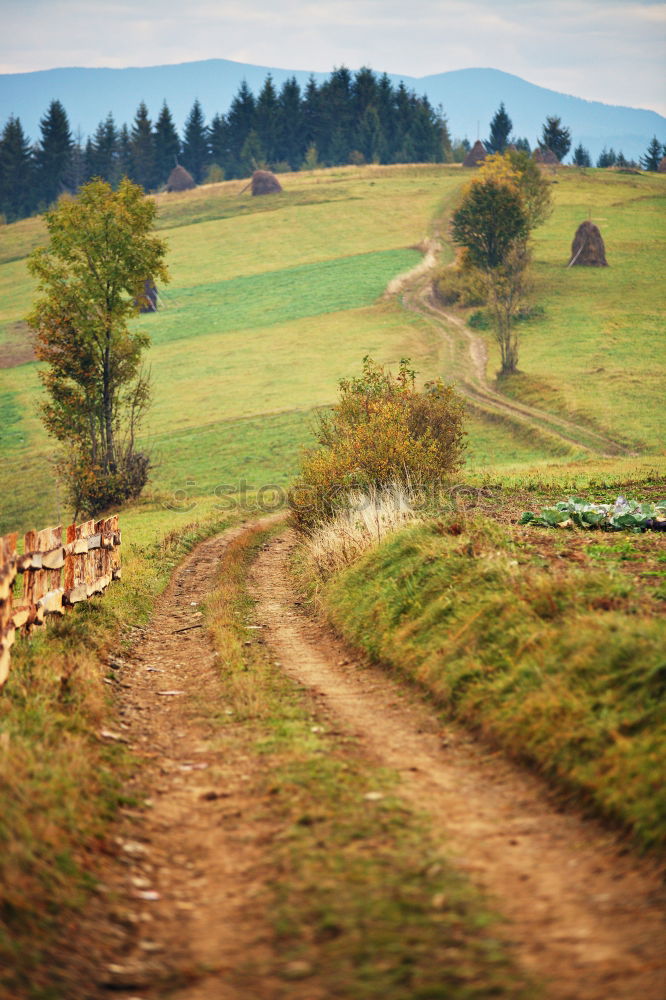 Image, Stock Photo Autumn garden in Carpathian mountains