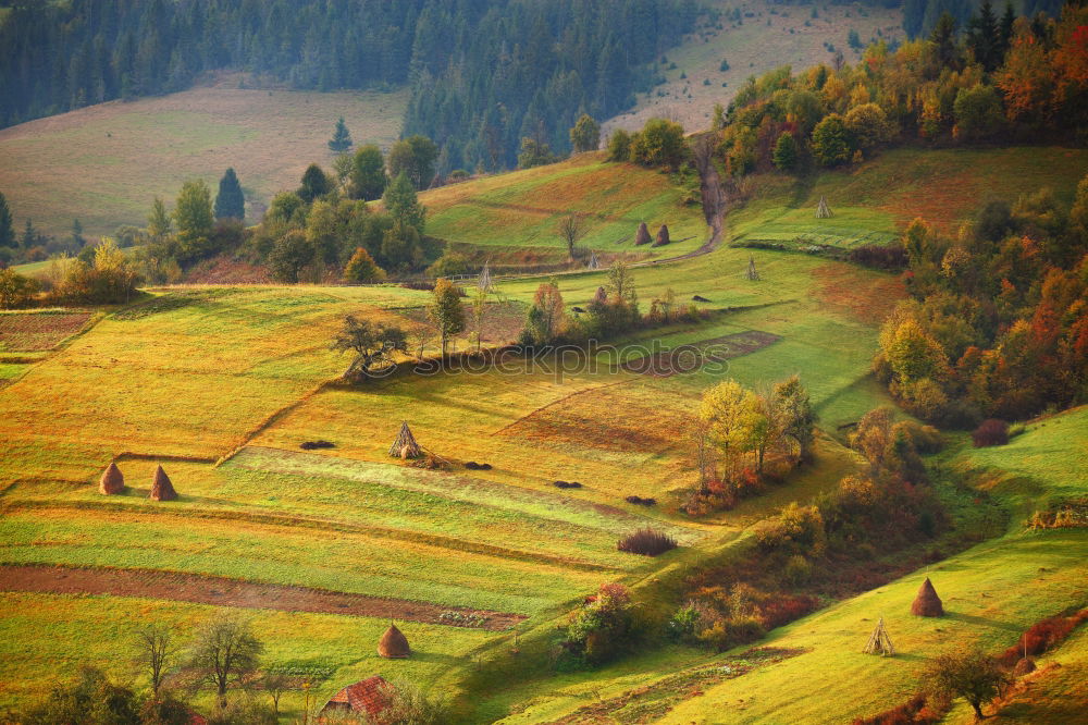 Similar – Curved serpentine road trough fall forest and village.