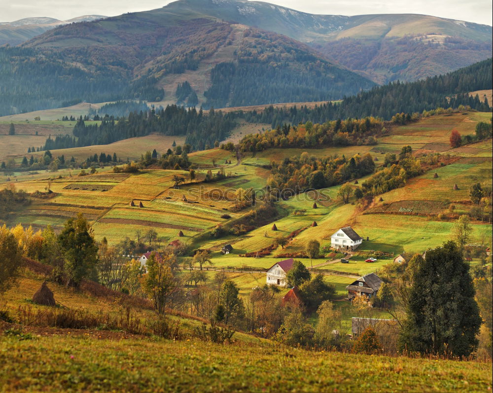 Autumn garden in Carpathian mountains. Orchard on the fall hills