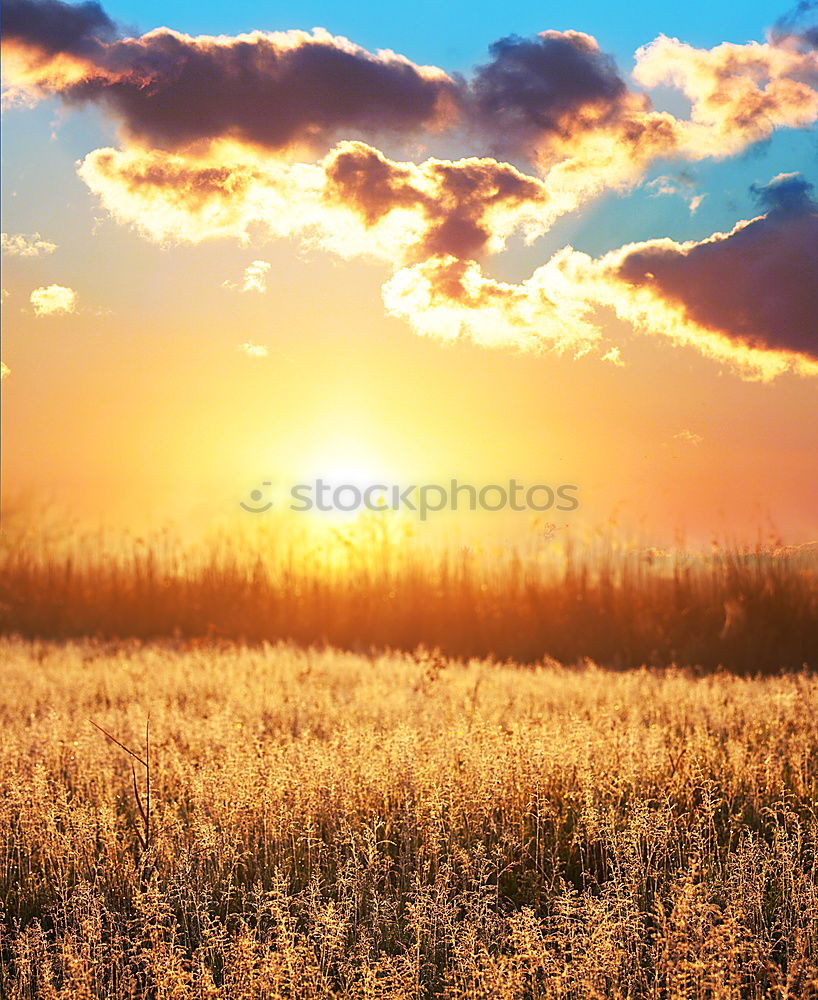 Similar – Straw bales in the sunrise