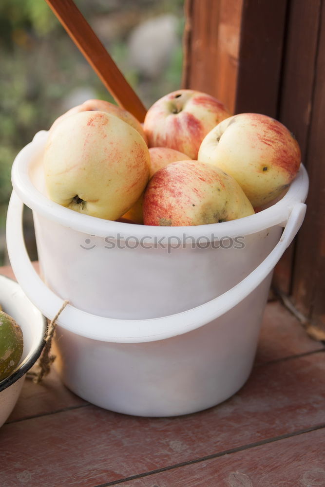 Similar – Image, Stock Photo Break in the garden with books and apples