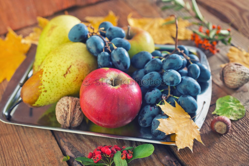 Similar – Image, Stock Photo Autumn apples and pumpkins