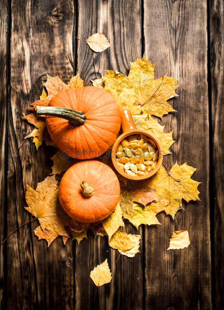 Similar – top view of cozy autumn breakfast on table