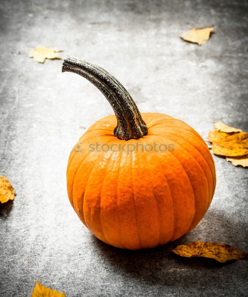 Image, Stock Photo Pumpkin on rustic wood