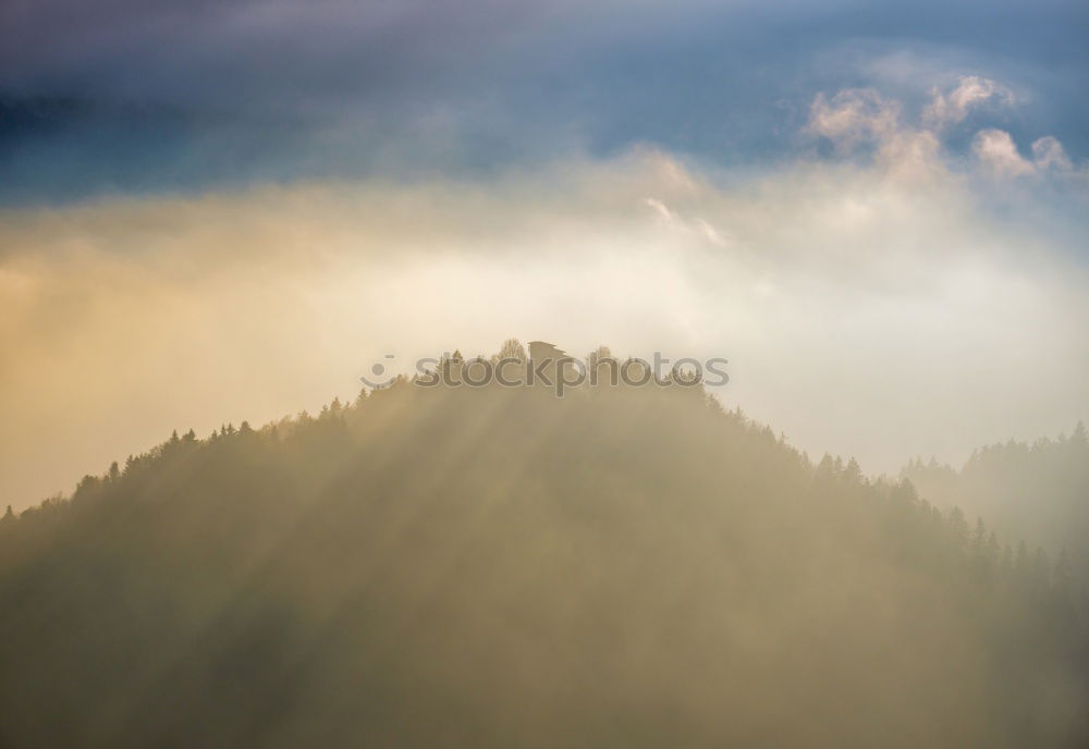 Similar – Wo sind die Kühe? Wolken