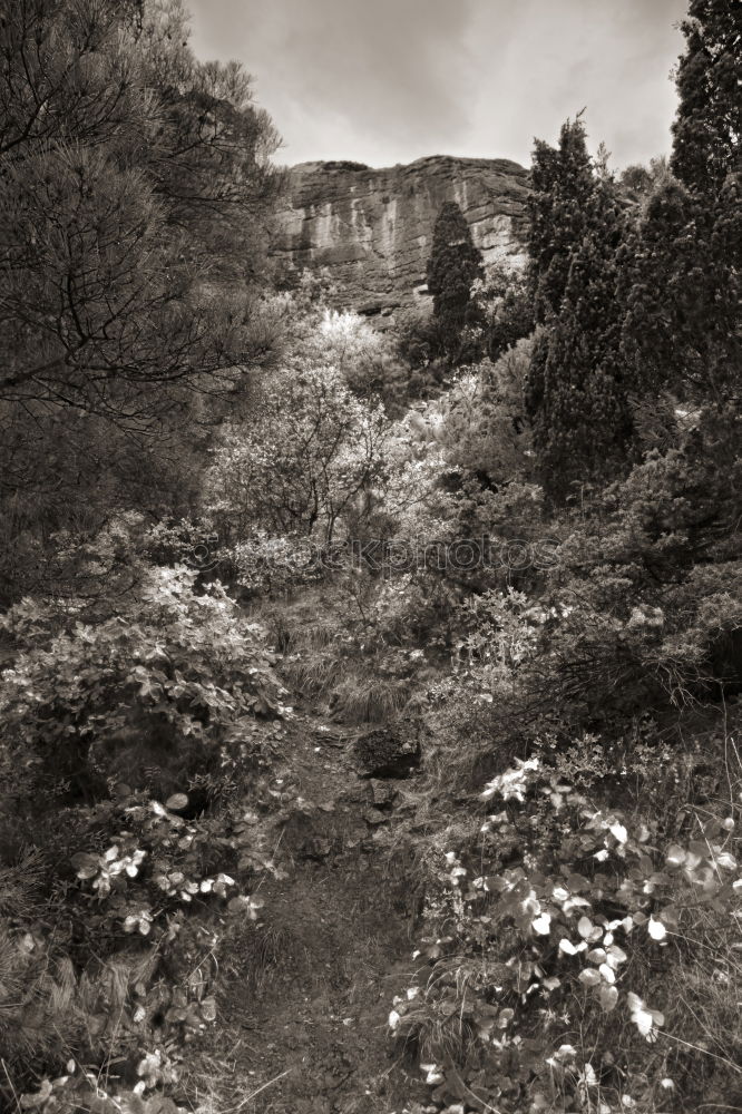 Similar – Village in the South Harz Mountains