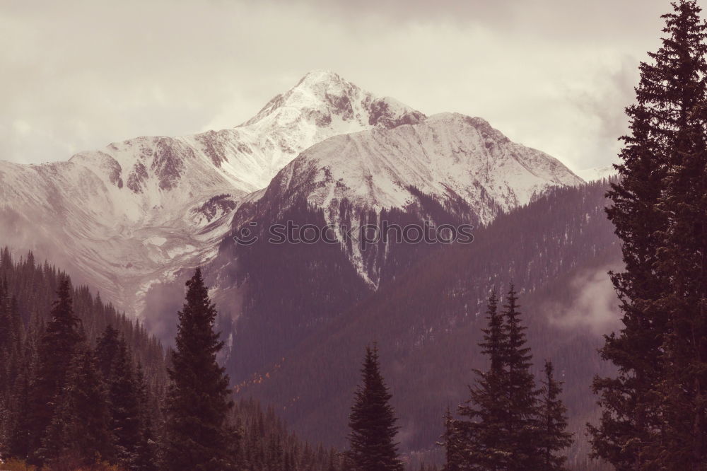 Similar – Image, Stock Photo autumnal lakeside in front of mountains with snow in bad weather with rain clouds