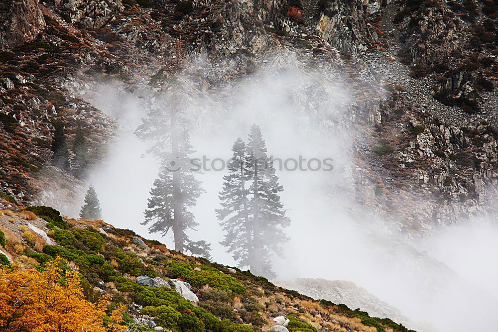 Similar – Landscape with snow on the Brocken in the Harz Mountains